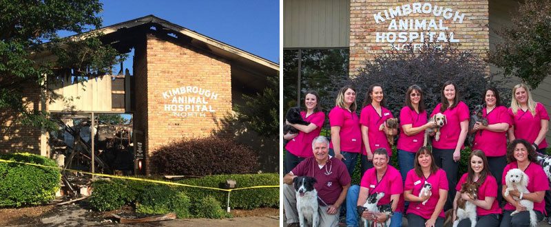 Fire At Texas Vet Clinic Kills 38 Pets