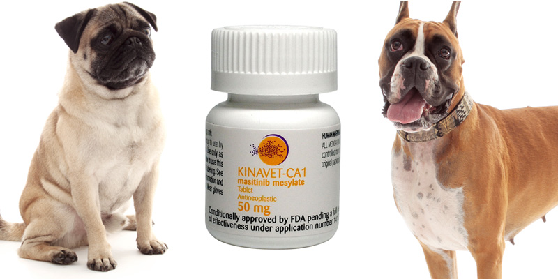 Cancer Drug Kinavet No Longer Approved for Use