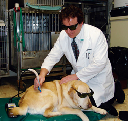 Lasers Offer A Therapeutic Plan For Pain
