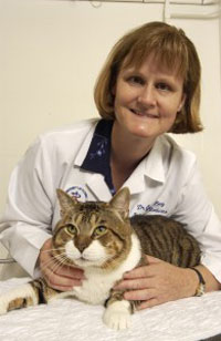 University Of Florida Adds Shelter Medicine Certificate Program