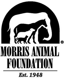 Wells Fargo To Help Fund Morris Animal Foundation Studies
