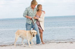 Marley, Enzo And Fern Enrich Our Lives