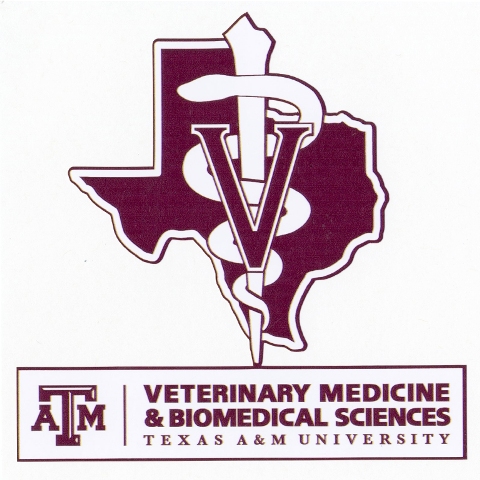 Texas A&M Receives $1.2 Million Contract from Department of Homeland Security to Create Nationwide Curriculum