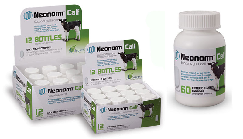 Jaguar Sees Future for Equine Ulcer Drug
