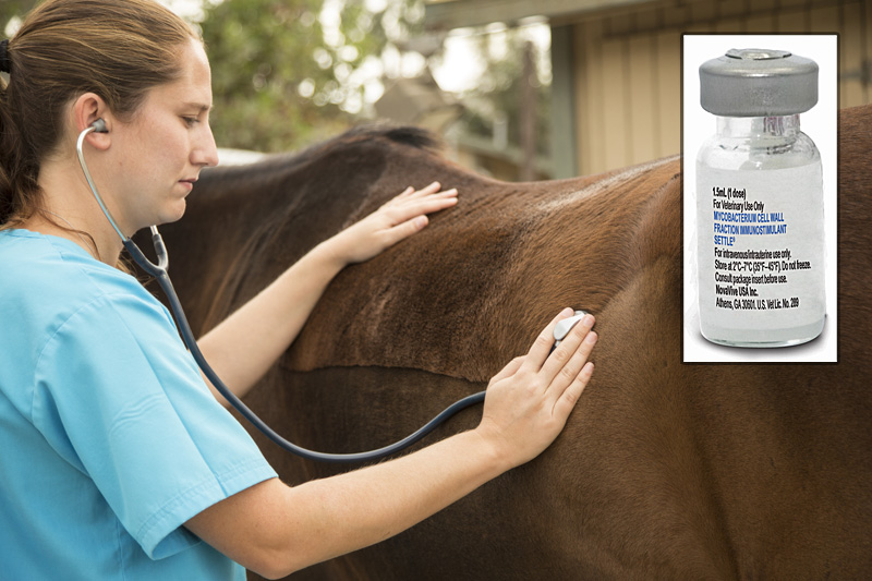NovaVive Goes All In on Veterinary Therapeutics