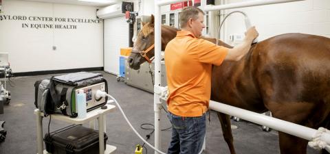 OSU Opens Gaylord Center for Excellence in Equine Health