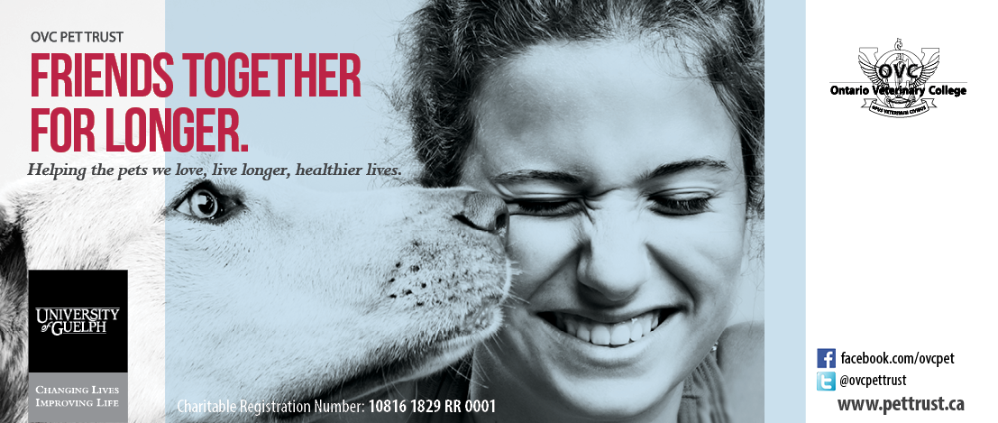Ontario Vet College Launches $9 Million Campaign
