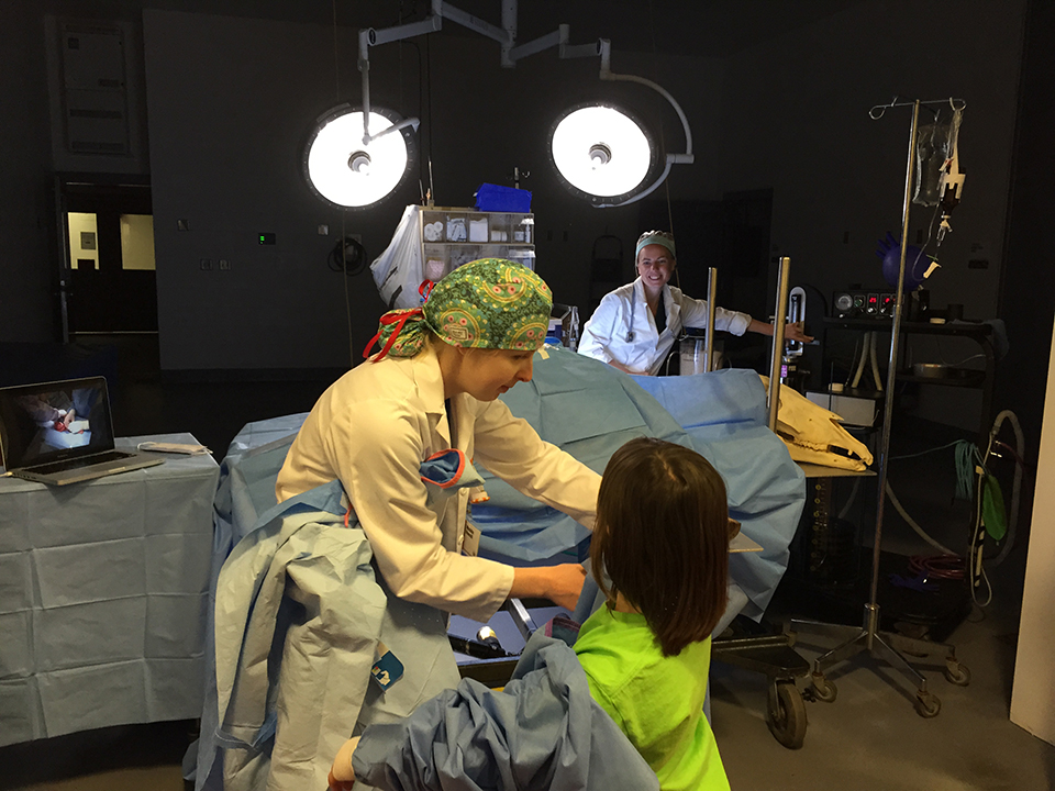 University of Tennessee College of Veterinary Medicine Holding Open House on April 23