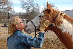 UPDATE: Contagious Equine Metritis Reported In Kentucky