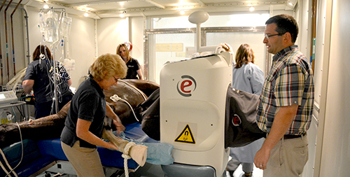 Penn Vet’s New Bolton Center Offers New MRI System
