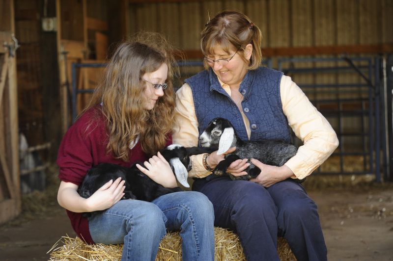Children Get Firsthand Veterinary Experience