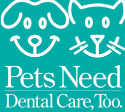 Dental Health Campaign Under Way
