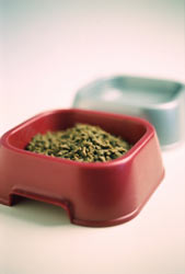FDA Seeks Comments On Third-Party Pet Food Certification