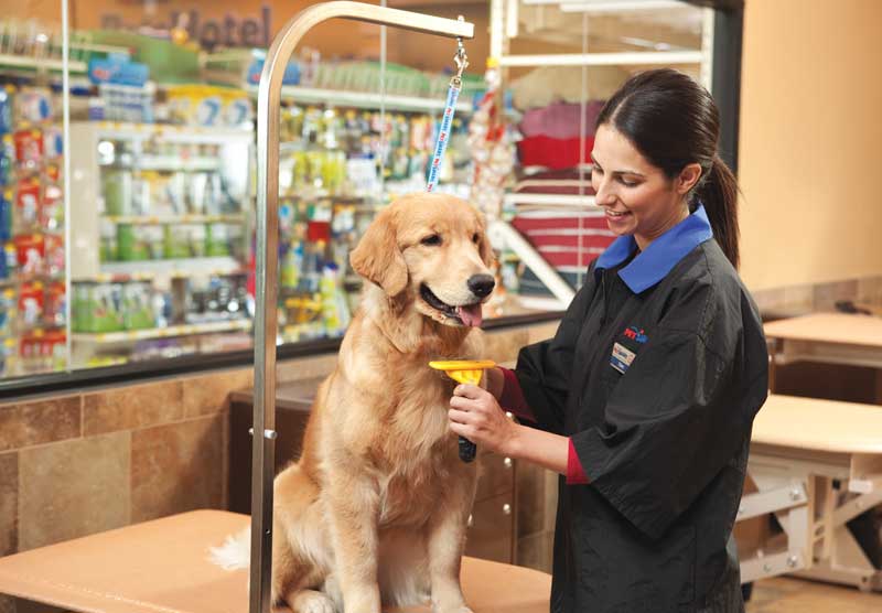 petsmart grooming services