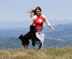 Pet-Related Falls Injure More Than 86,000 Annually