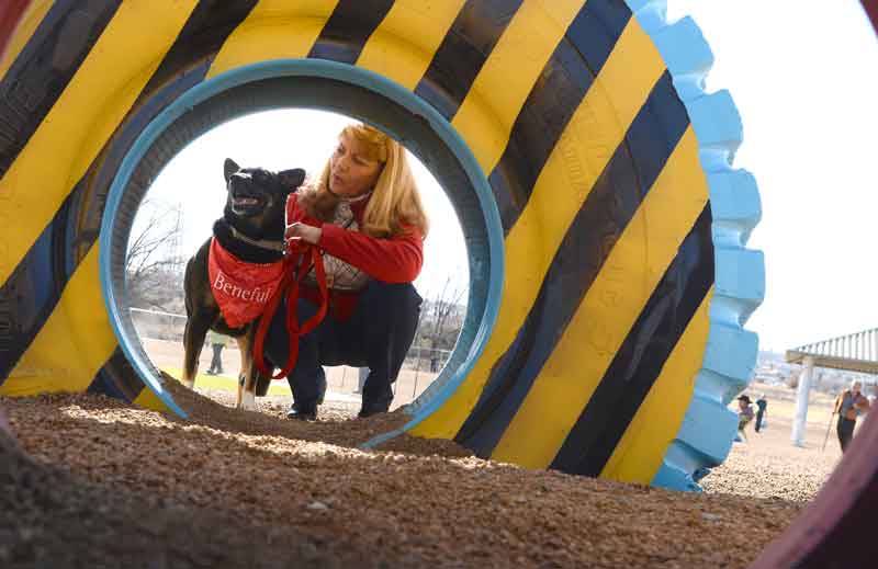 $500,000 Dog Park Debuts in Prescott, Ariz.