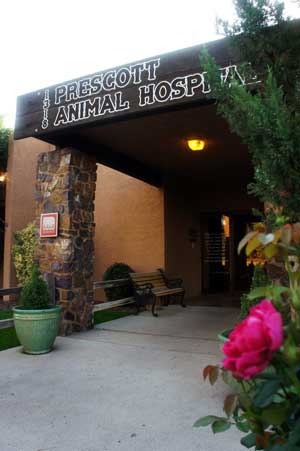 Prescott, MedVet Win AAHA Practice Of The Year Awards