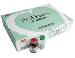 ProHeart 6 Meeting Material Available
