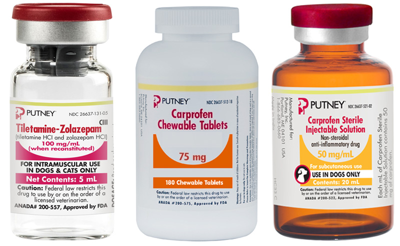 Dechra to Buy U.S. Drug Maker Putney