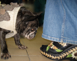 Bucking The Fashion Police