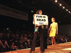 HSUS Agenda On Par With That Of PETA