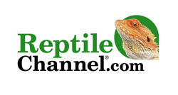 Lumina Media, LLC Launches ReptileChannel.com
