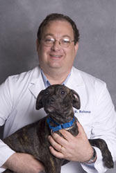 ASPCA’s  Doctor Named Vet Of The Year