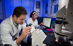 Scientists Trace Toxoplasma Parasite’s Family Tree