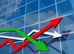 VCA Antech’s Revenue Grows Despite Challenging Economy