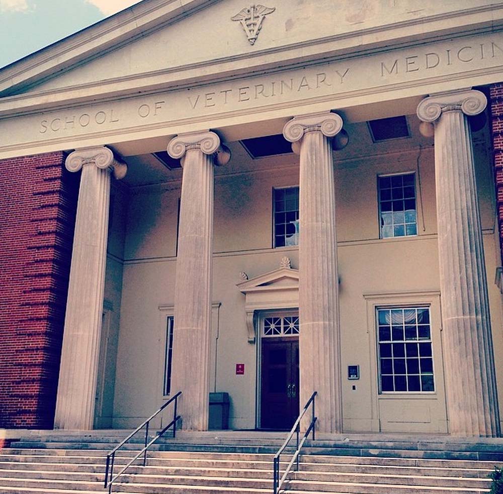 Georgia Vet College to Host Shelter Symposium