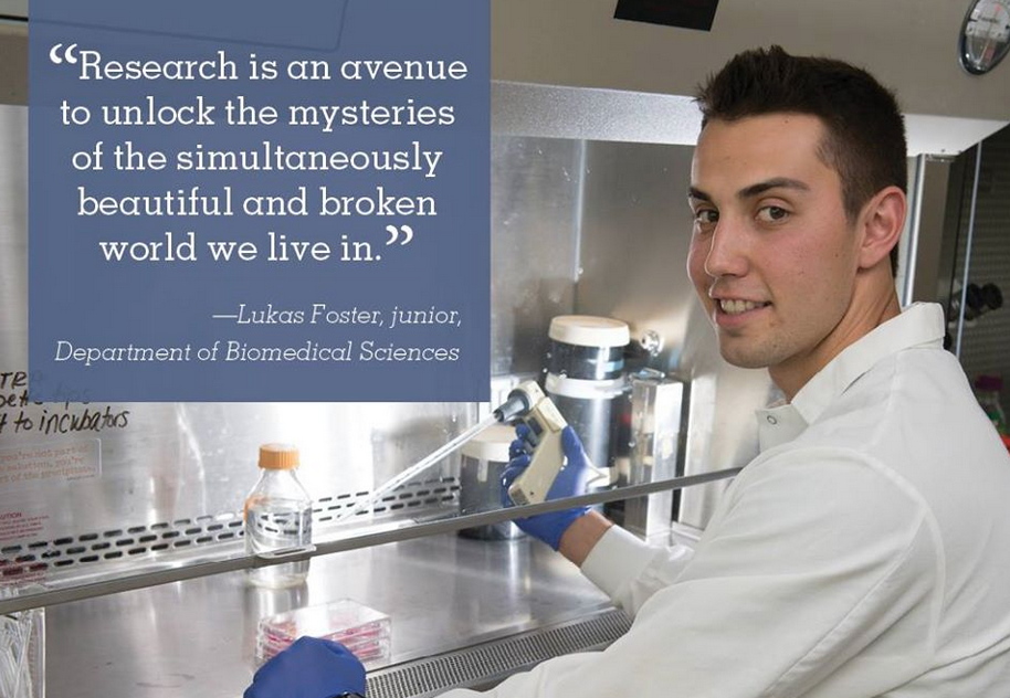 Colorado’s Research Day to be Held Jan. 31