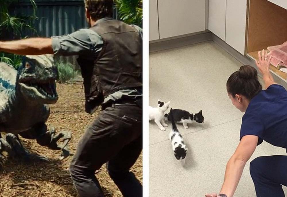 Everyone's Recreating Chris Pratt's Scene from Jurassic World. Will You?