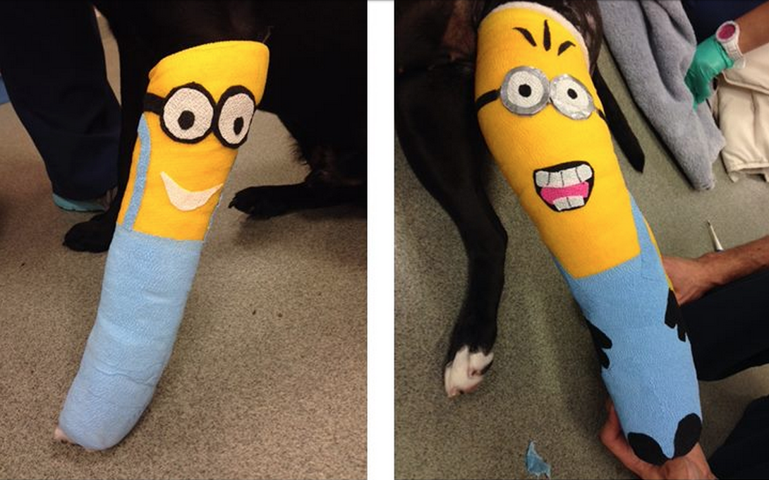 #FridayFunday: Vet Hospital Sends Patients Home With Minion-Inspired Vet Wraps