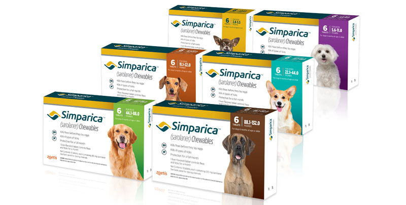 Zoetis Readies Simparica for U.S. Launch