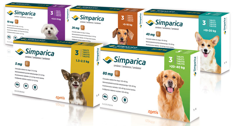 Zoetis Unveils New Drugs for Dogs, Horses