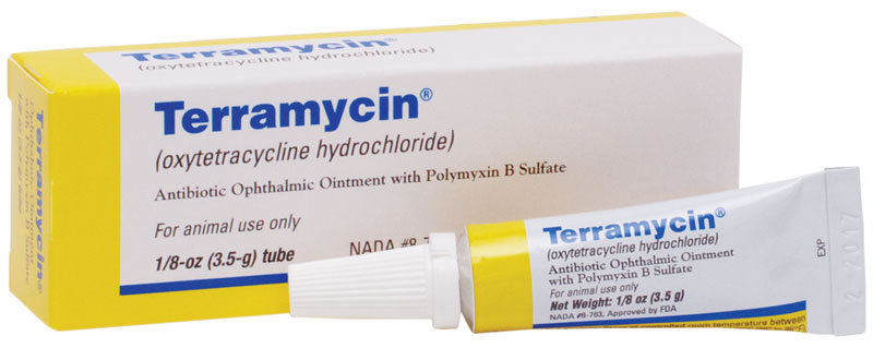 Terramycin eye drops for humans aid