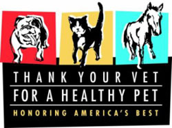 "Thank Your Vet " Nomination Deadline Nears