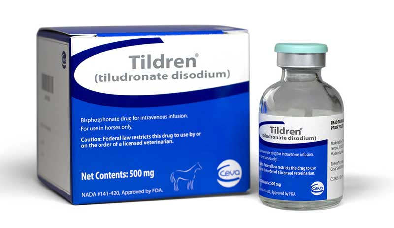 FDA Approves Equine Lameness Drug