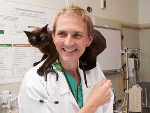 Cat’s Connections Lead to Lifesaving Kidney Surgery