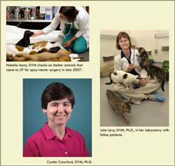UF Gets Grant To Expand Shelter Medicine Program