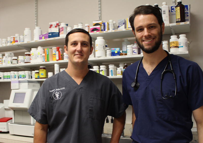 For UF Vet Students, It’s Off to Work They Go