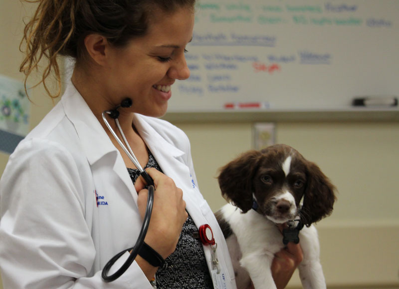 UF Hospital, Referral Services Win AAHA Accreditation