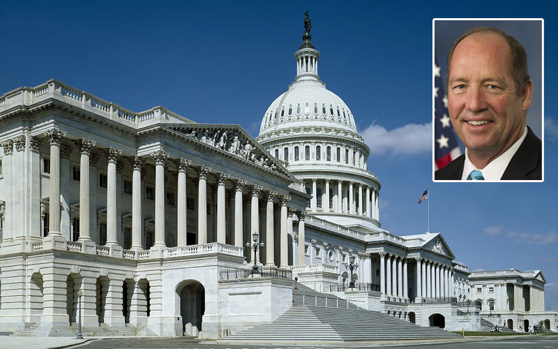 Soring Crackdown, Other Proposed Laws on AVMA’s Radar