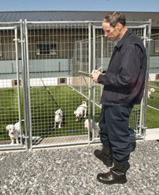USDA Cracks Down On Internet Pet Sales