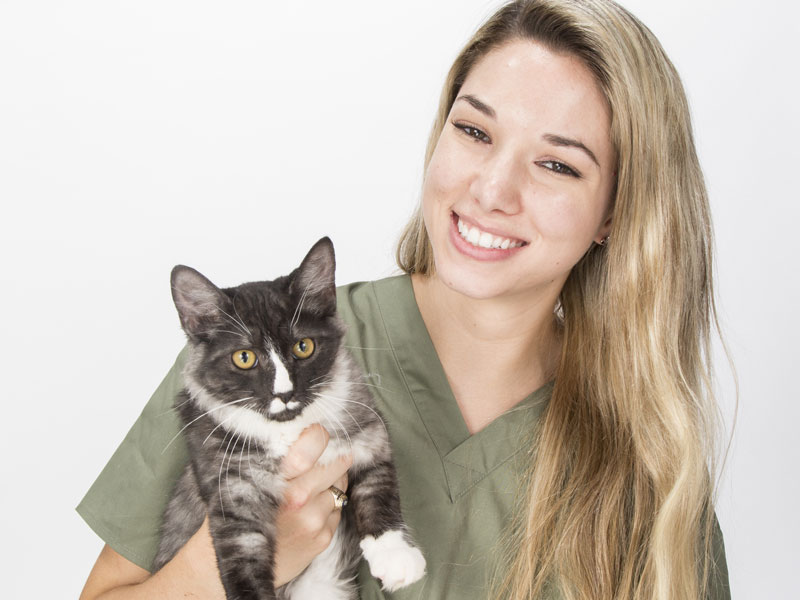 Vet Techs Say Sedation Is Underutilized