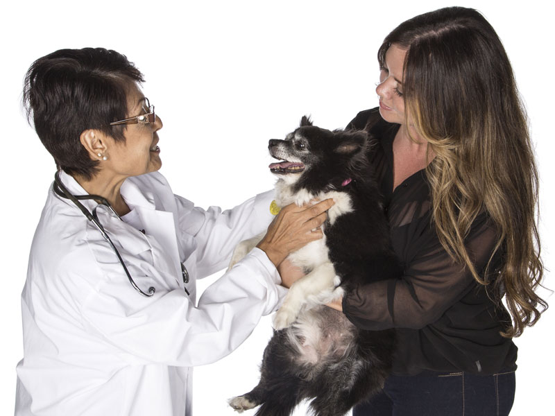 FTC Open to Wider Veterinary Drug Market