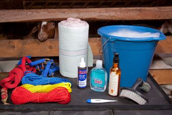 Small-Animal Practices Not Immune To Antimicrobial Concern