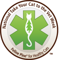 Take Your Cat To The Vet Week Set For August