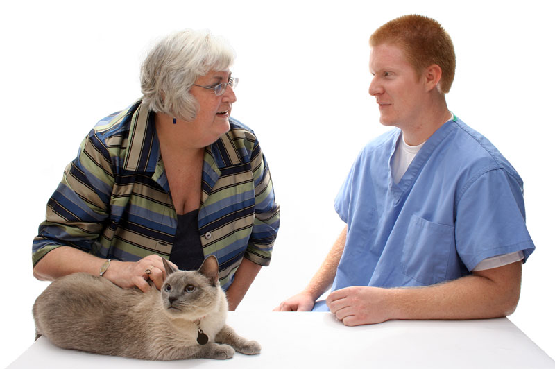 Banfield Report Finds Vet-Client Disconnect