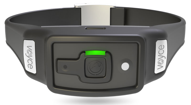 Voyce Pro Offers Remote Monitoring of Dogs’ Health
